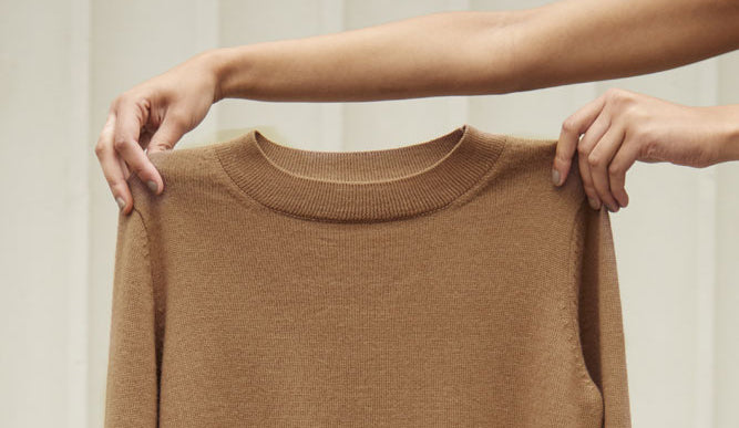 10 Things to Know And Love About Alpaca